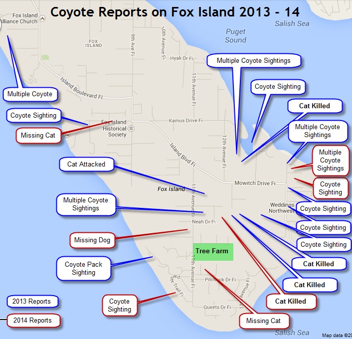 Fox Island Coyote Reports